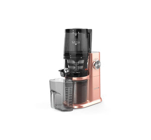 High-Performance Fruit juicer Compact Design